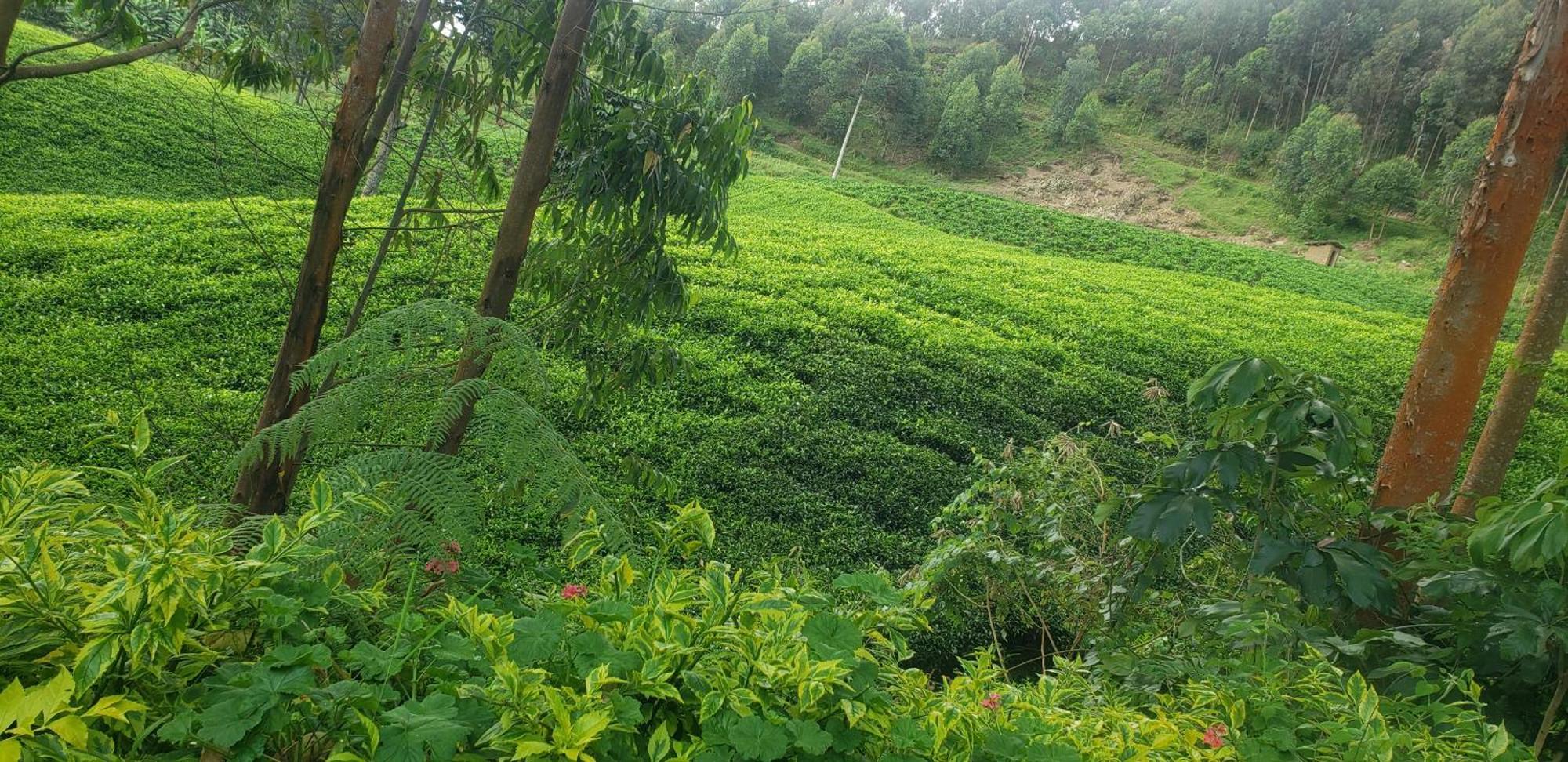 Ear Ken Barham Guesthouse Rwumba Exterior photo